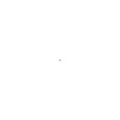 Quantum LTO Ultrium Reinigungskassette MR-LUCQN-01