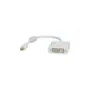 ROLINE ADP.KABEL MINIDP-DVI ST BU V1.2