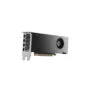 RTX PRO 2000 Blackwell 16 GB Lenovo GDDR7