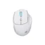 Sharkoon OfficePal M25W - M25W - Right-handed wireless optical mouse, 4000 DPI, USB-C, White