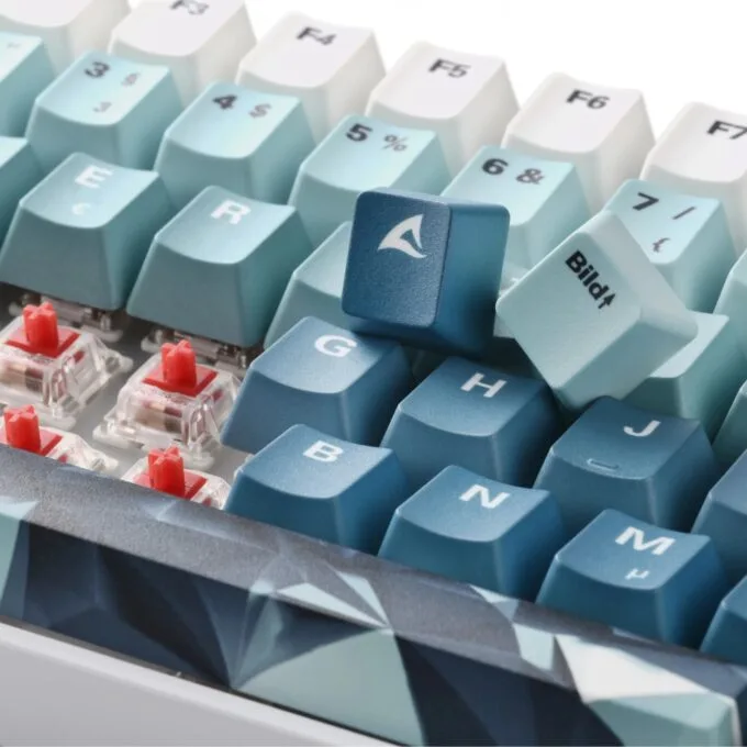 Sharkoon SKILLER SGK50 S3 Design Bundle D1 - SGK50 - Gray/Green/Red — image 3