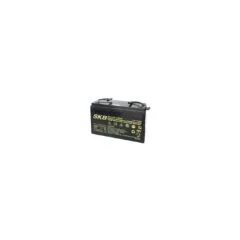 SKB Lead Acid Battery SK12-100S - 12V 100Ah VRLA