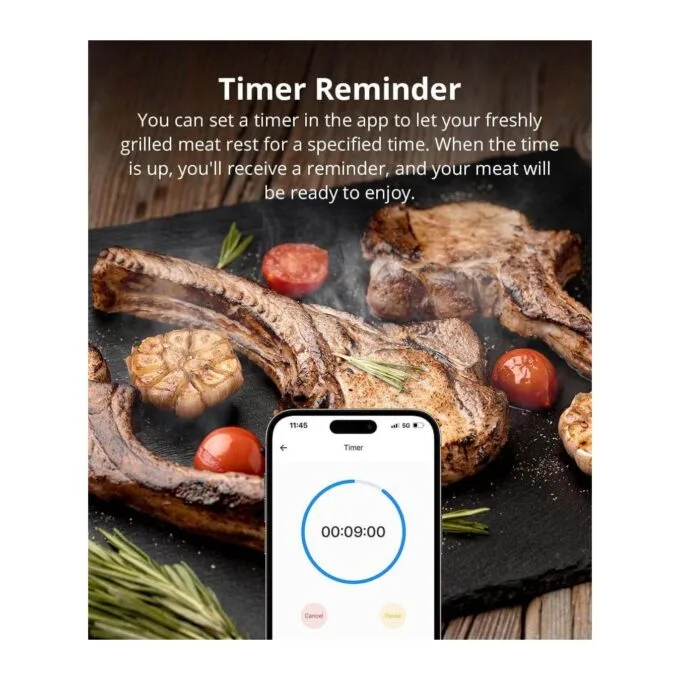 Sonoff WiFi BBQ Meat Thermometer - BMT01 - WiFi BBQ Meat Thermometer — image 11