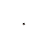 TARGUS PRIVACY SCREEN 13.3IN