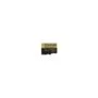 Transcend High Endurance microSDHC 32GB Card with SD Adapter Included