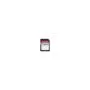 Transcend SDXC Card - SDC300S - 256GB SD memory card, 40 MB/s