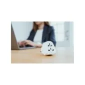 Verbatim Travel Adaptor - WTEU-02 - World to Europe
