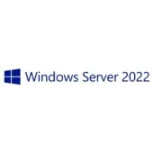 Windows Server 2022 OEM CAL - 10 User Client Access Licenses - 64-bit Server License