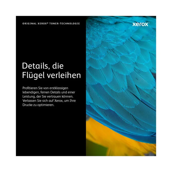 Xerox Toner 106R04347 Schwarz bis 3.000 Seiten — image 4
