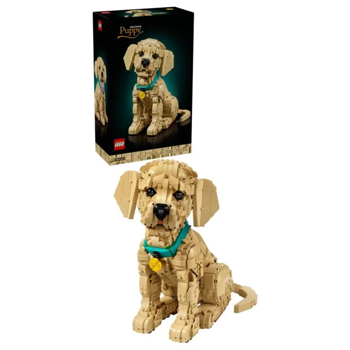 11384 Icons Golden Retriever Welpe — image 12