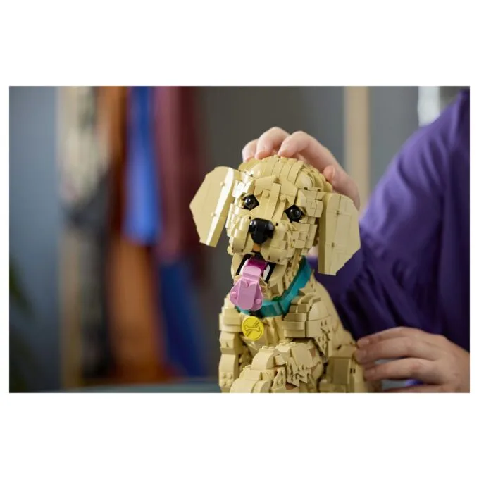 11384 Icons Golden Retriever Welpe — image 19