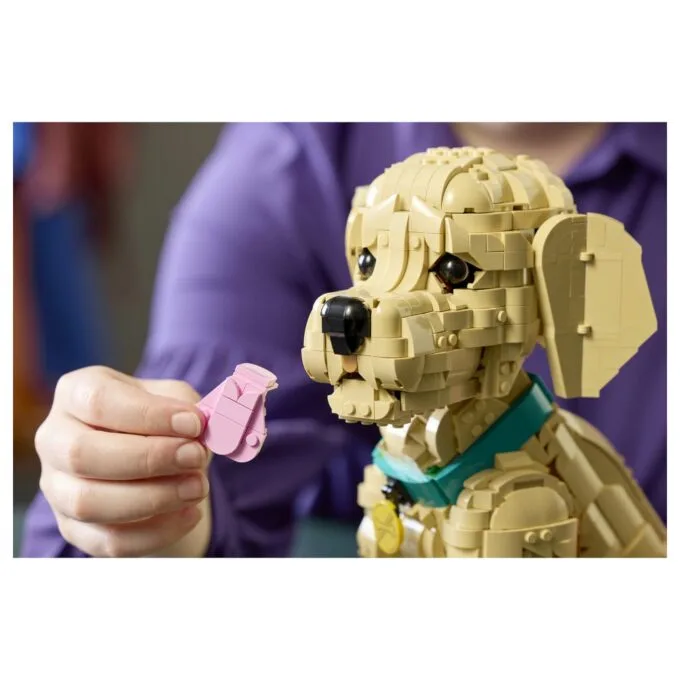 11384 Icons Golden Retriever Welpe — image 22