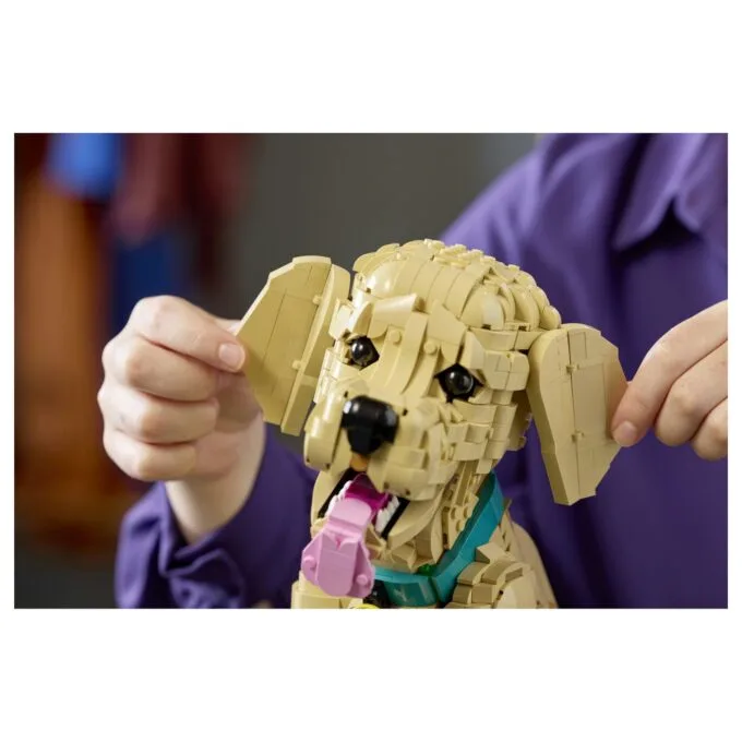 11384 Icons Golden Retriever Welpe — image 24