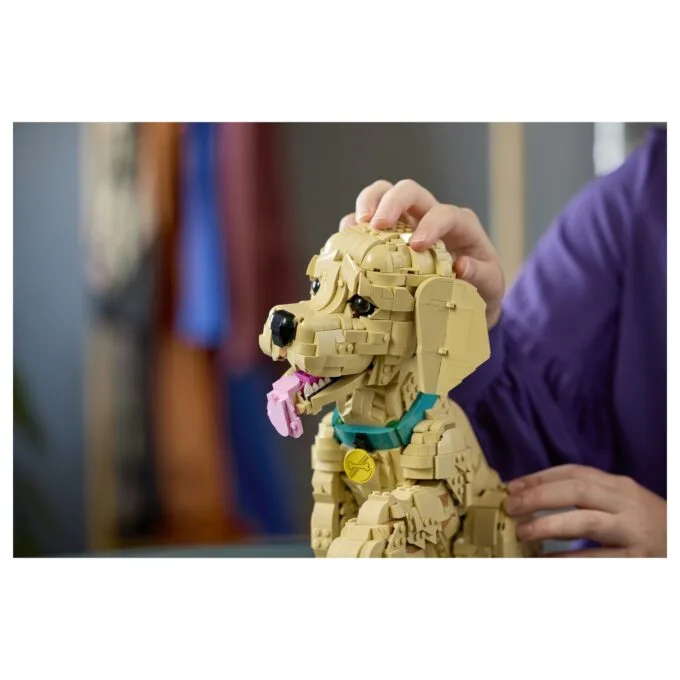 11384 Icons Golden Retriever Welpe — image 26