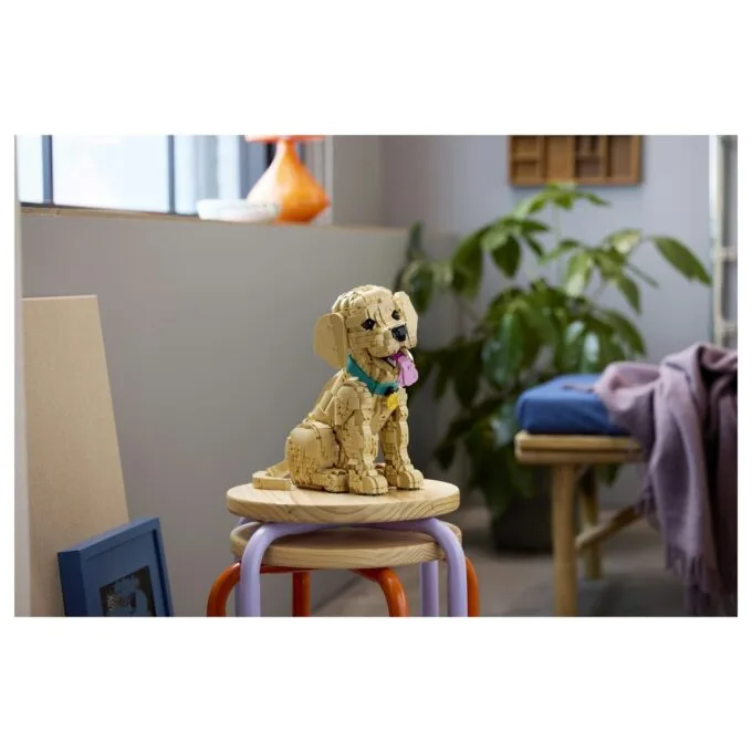 11384 Icons Golden Retriever Welpe — image 30