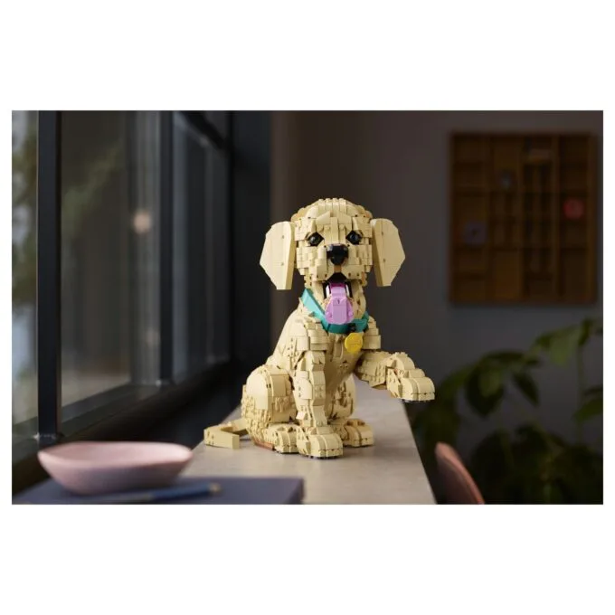 11384 Icons Golden Retriever Welpe — image 31