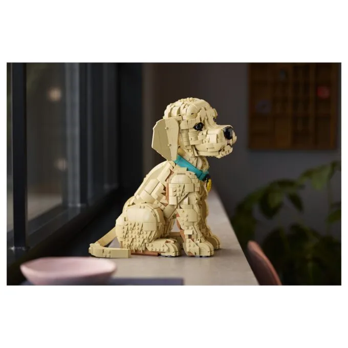 11384 Icons Golden Retriever Welpe — image 34