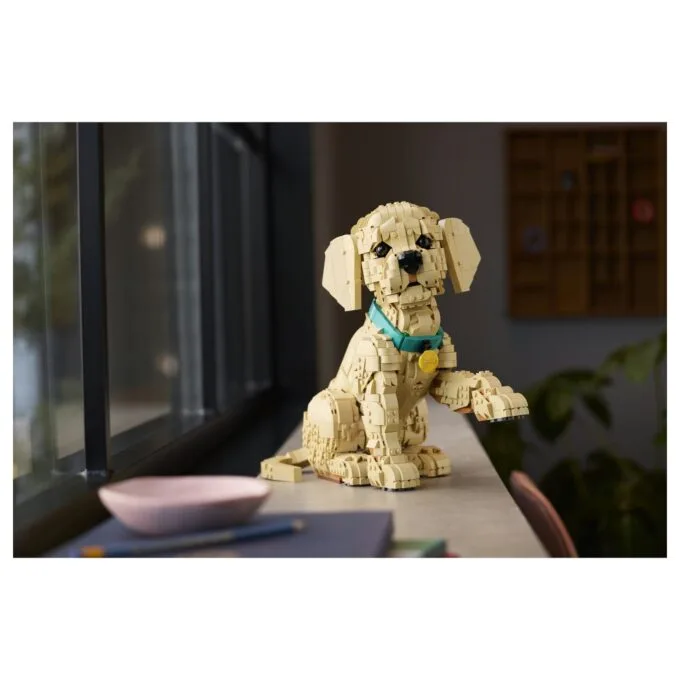 11384 Icons Golden Retriever Welpe — image 35