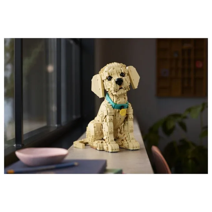 11384 Icons Golden Retriever Welpe — image 36
