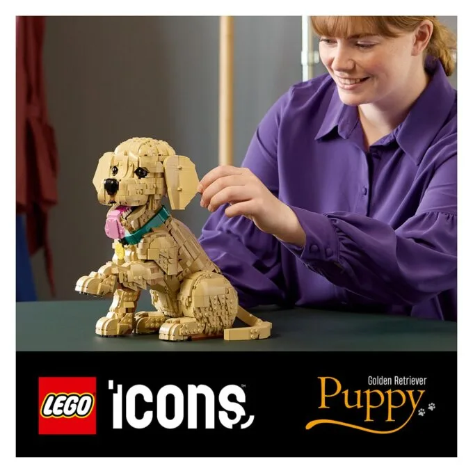 11384 Icons Golden Retriever Welpe — image 37