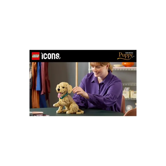 11384 Icons Golden Retriever Welpe — image 38