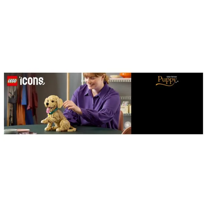 11384 Icons Golden Retriever Welpe — image 39