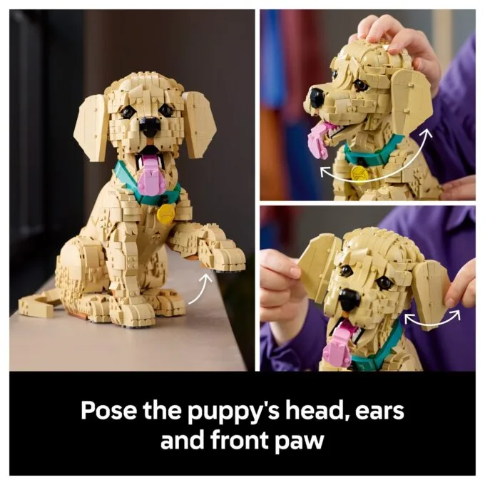 11384 Icons Golden Retriever Welpe — image 42