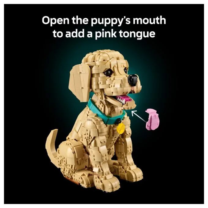 11384 Icons Golden Retriever Welpe — image 43