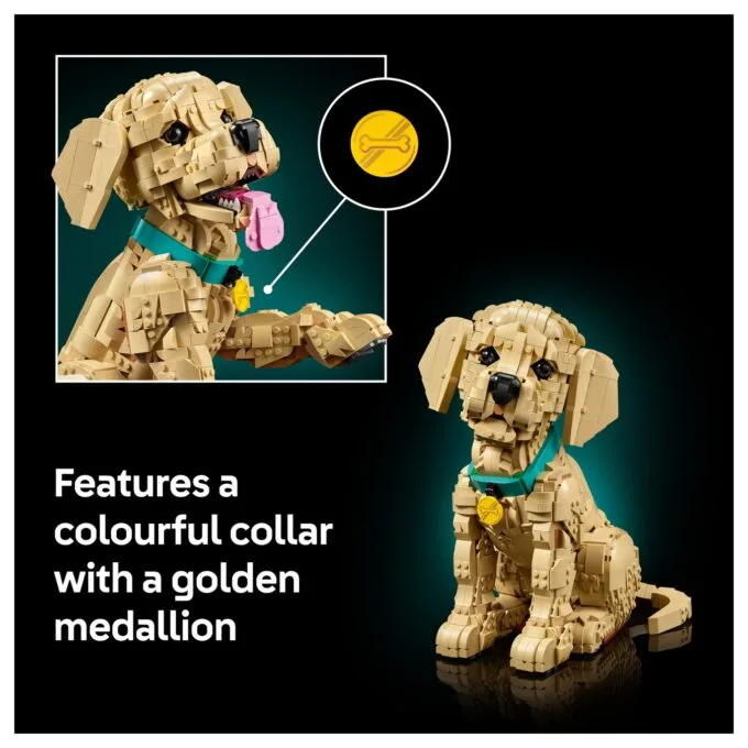 11384 Icons Golden Retriever Welpe — image 44
