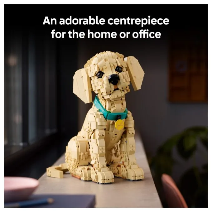 11384 Icons Golden Retriever Welpe — image 45