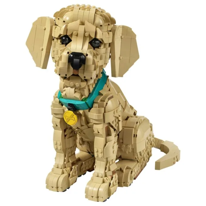 11384 Icons Golden Retriever Welpe — image 46