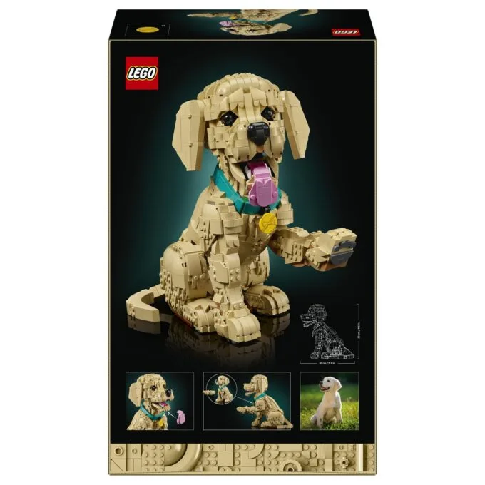 11384 Icons Golden Retriever Welpe — image 47