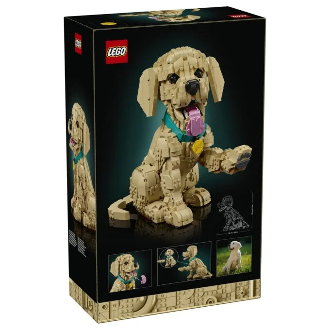 11384 Icons Golden Retriever Welpe — image 48