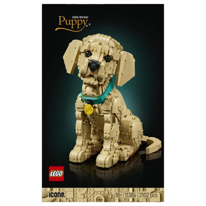 11384 Icons Golden Retriever Welpe — image 7