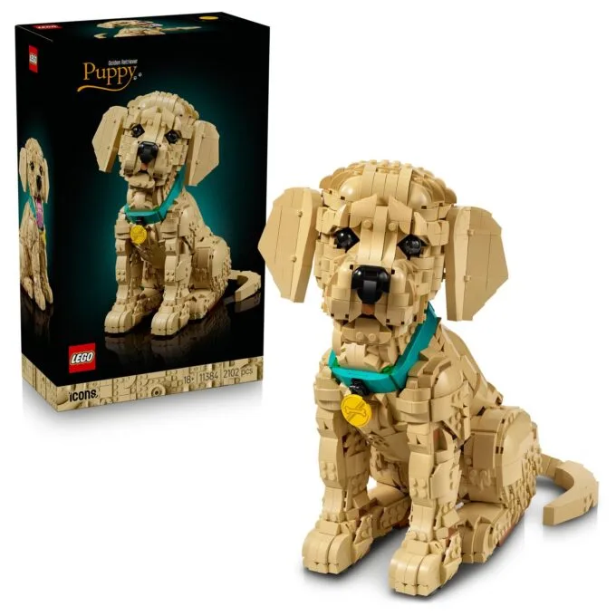11384 Icons Golden Retriever Welpe — image 9