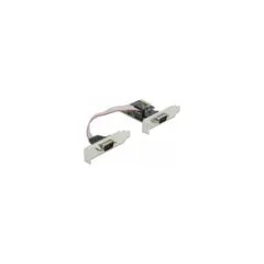 2x seriell DeLock PCI Express Adapter