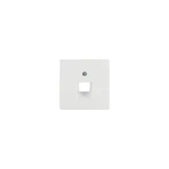 Berker 14076089 Zentralstück f UAE-Steckdose polarweiss samt