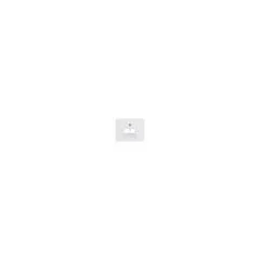 Berker 1409 70 09 Zentralstück für UAE E-DAT K.1 pws 2-fach
