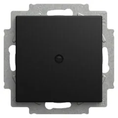 BUSCH JAEGER BJ 2538-915 Blindzentralscheibe mit Tragring Busch-balance® SI