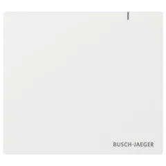 BUSCH JAEGER BJ SAP.13 System Access Point 3.0