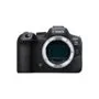 Canon EOS R6 Mark II 24.2 MP 6000 x 4000 Pixel