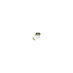 Canyon TWS-5 In-Ear Buds True Wireless green