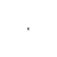 CARD AgfaPhoto sdhc Karte 16GB High Speed Class 10 UHS I U1 V10