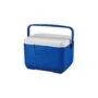 COLEMAN 5 QT Performance Kühlbox 4,7L