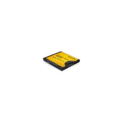 Delock Compact Flash Adapter für Micro SD Speicherkarten