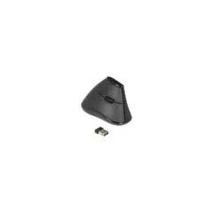 Delock Ergonomische vertikal optische 5-Tasten Maus 2.4 GHz kabellos - Lautlos