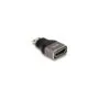 DELOCK HDMI Adapter Mini-C Stecker zu A Buchse 8K 60 Hz grau Metall