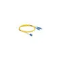 Delock Kabel Lichtwellenleiter LC to SC Singlemode OS2 2 m