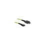 Delock Kabel OCuLink PCIe SFF-8611 zu Slim SAS SFF-8654 1 m