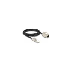 Delock Kabel RJ45 Stecker feldkonfektionierbar zu Keystone Modul RJ45 Buchse Cat.6A 2 m